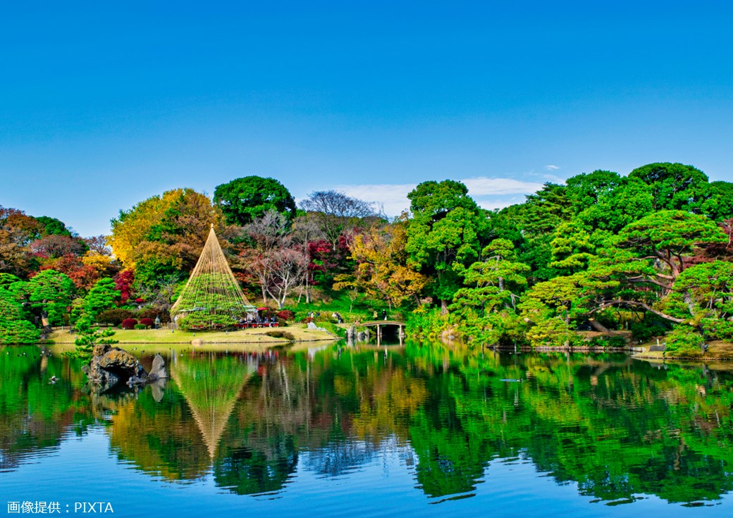 ◎六義園